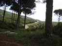 P1010043.JPG