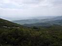 P1010170.JPG